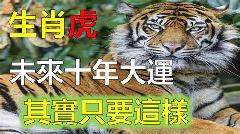 屬虎 五行|【屬虎 五行】屬虎五行怎麼看？解析生肖虎五行方位、運勢、命。